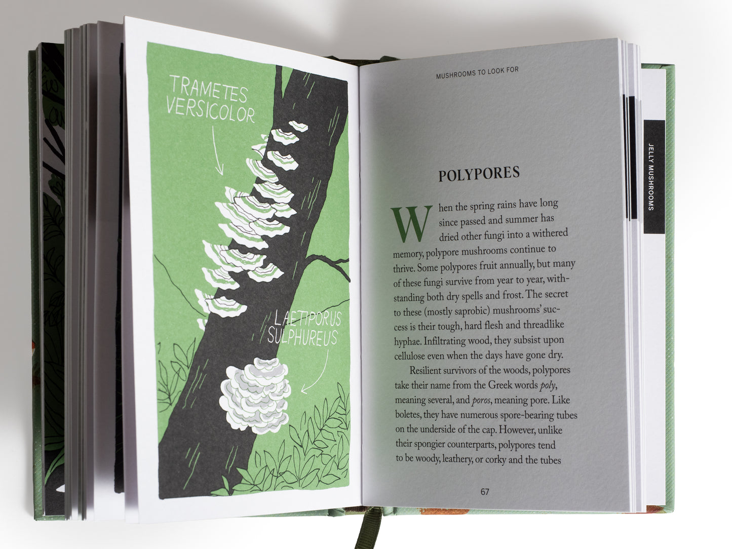 LIBRO - POCKET NATURE SERIES: MUSHROOM HUNTING