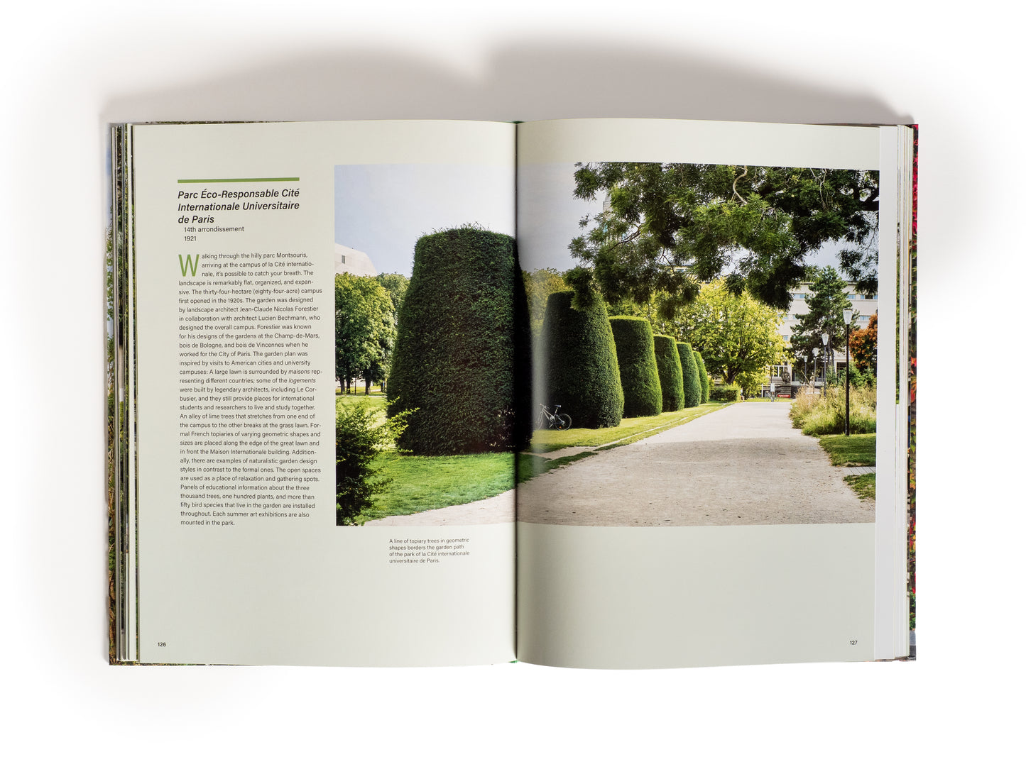 LIBRO - FOREVER PARIS