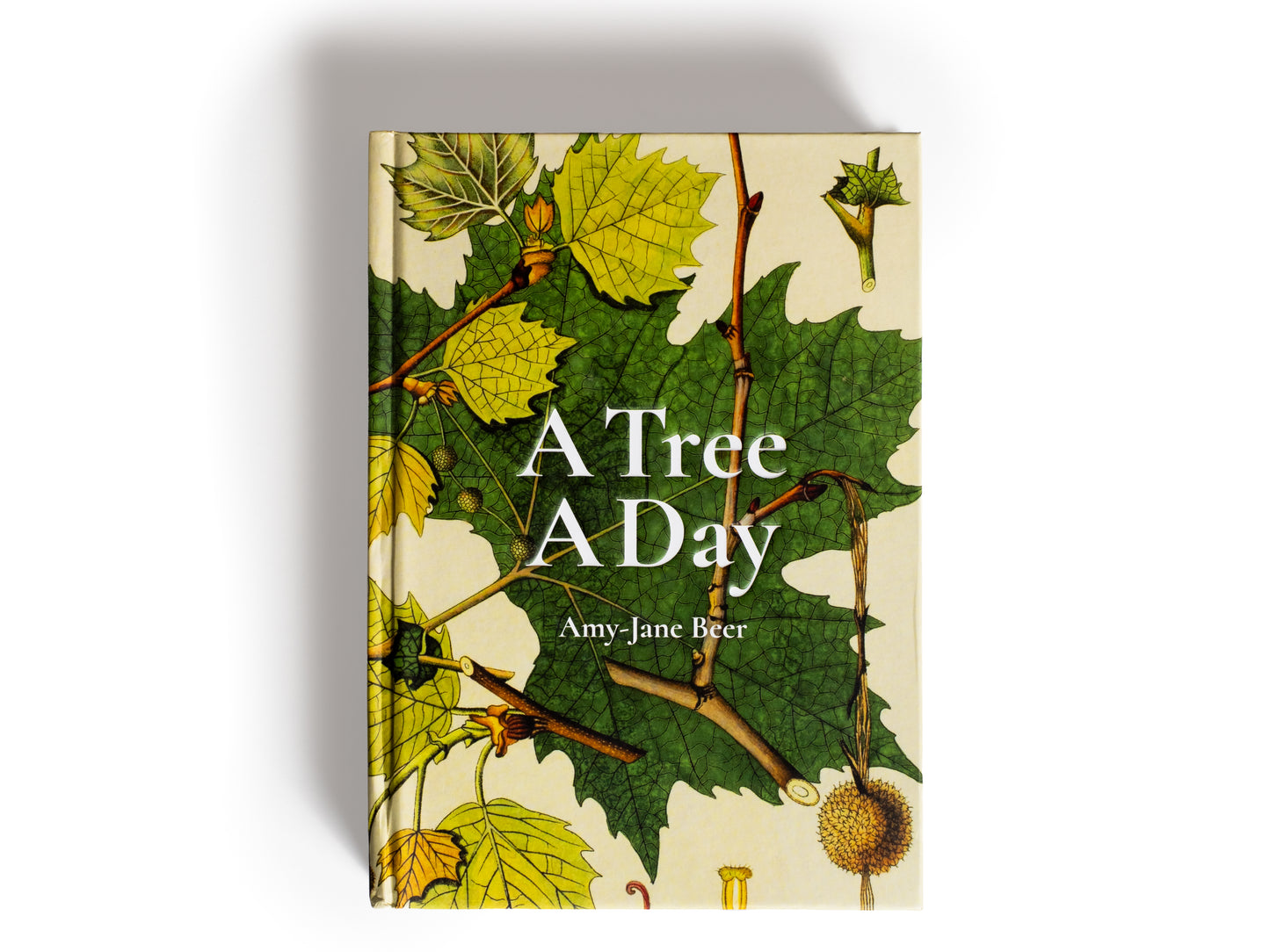LIBRO - A TREE A DAY