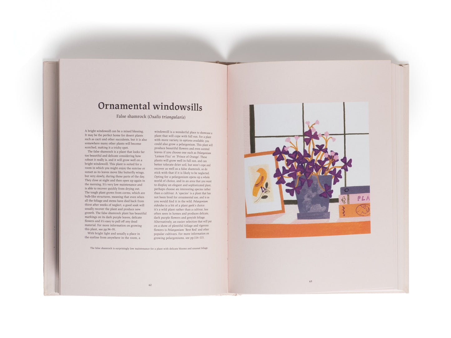 LIBRO - HAPPY INDOOR GARDEN