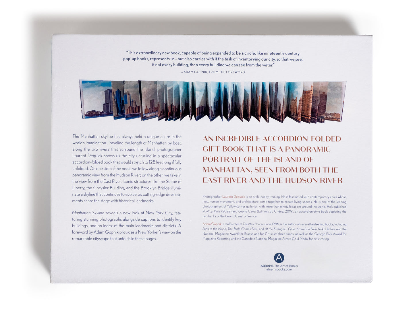 LIBRO - MANHATTAN SKYLINE