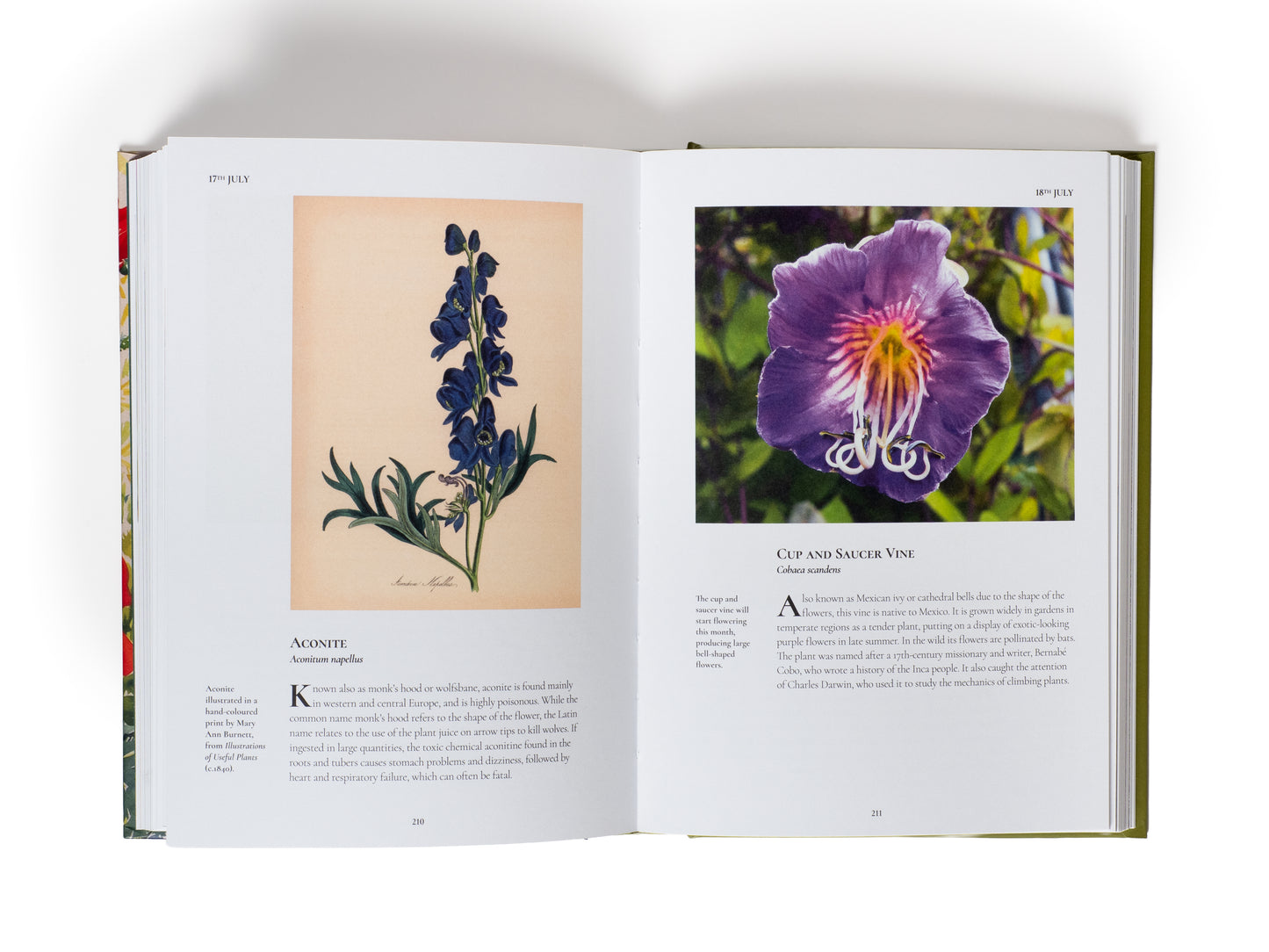LIBRO - A FLOWER A DAY