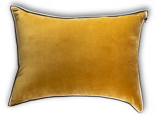 ALMOHADÓN ARISTOTE DORÉ