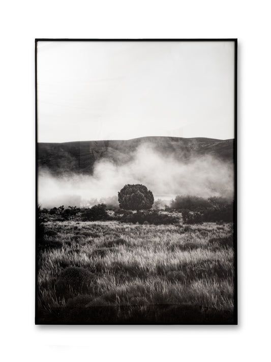 CUADRO "PERMANENCIA" (CLARA GREEN)