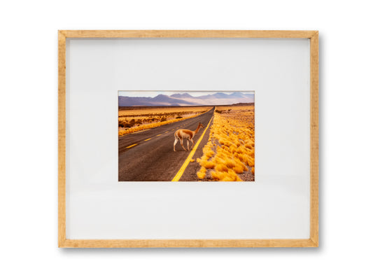 CUADRO "EL PASO DE LO SIMPLE" (CLARA GREEN)