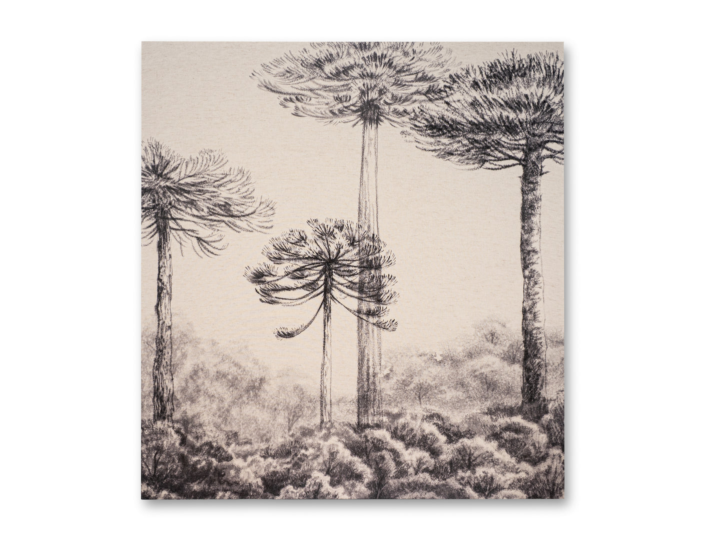 CUADROS TELA (SOFIA WILLEMOËS)