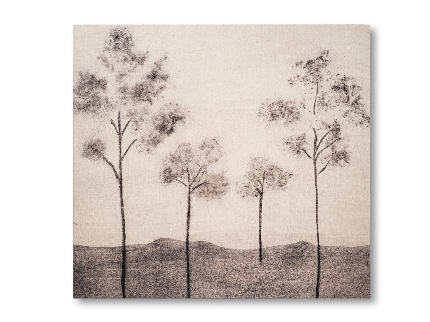 CUADROS TELA (SOFIA WILLEMOËS)