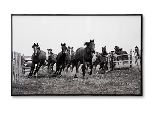 CUADRO "TROPILLA" (CLARA GREEN)